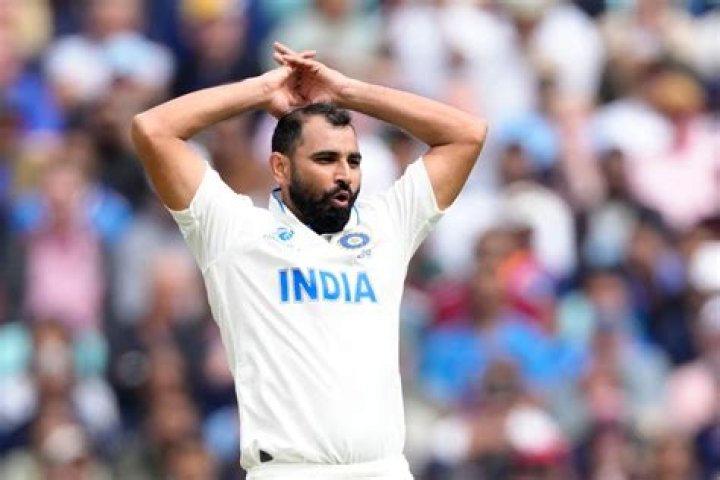 Mia Khalifa and Mohammed Shami: A Detailed Exploration of Their Lives, Achievements, and Influence