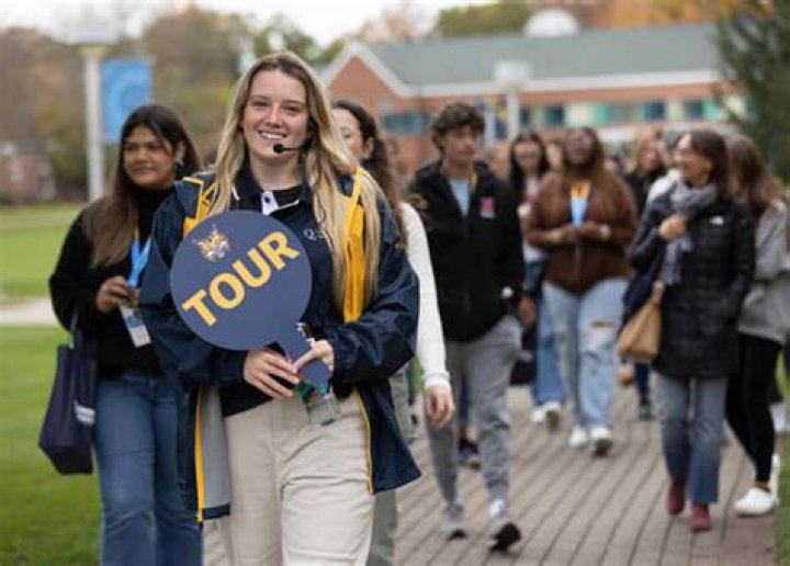 Quinnipiac Blackboard: Your Ultimate Guide to Navigating the Platform