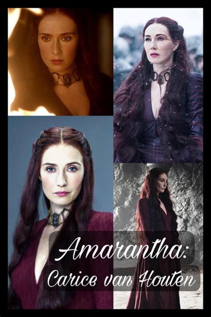 Top Lotte Verbeek Partners & Collaborators